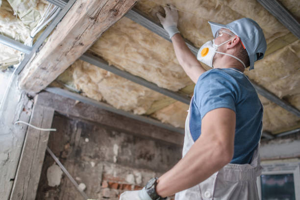 Best Attic Insulation Installation  in Fairforest, SC